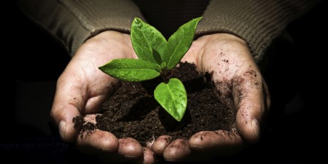 compost vegetale a Roma