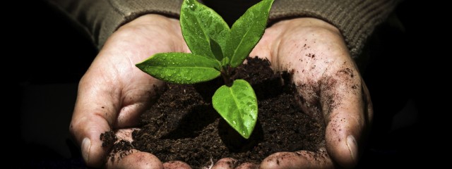 compost vegetale a Roma