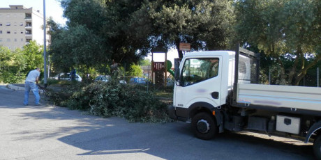 raccolta ramaglie e scarti del verde come servizio per privati